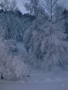 Neige-Gîte-Vosges